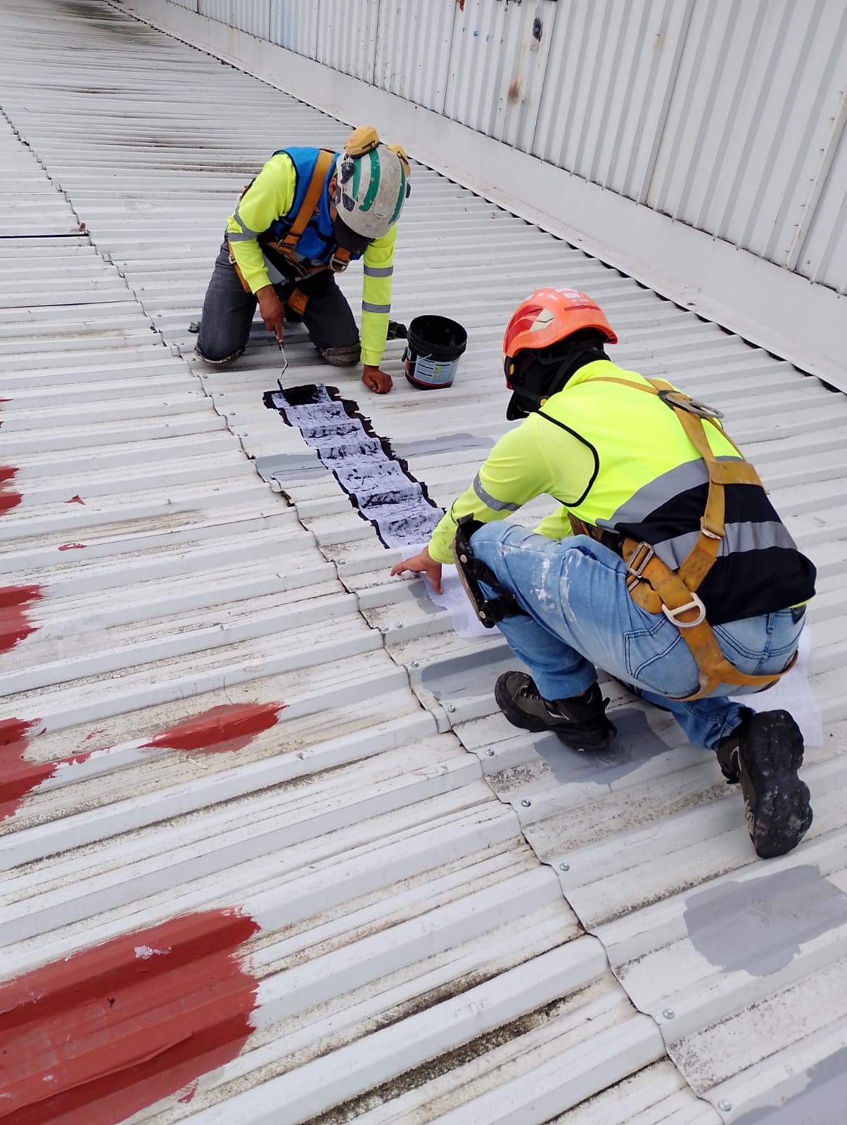 Reparación de Techumbres